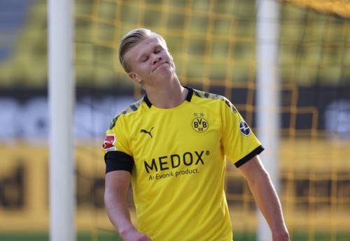 迷和媒体的 迷和媒体的